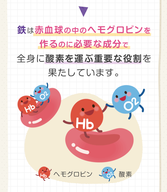 鉄は赤血球の中のヘモグロビンを作るのに必要な成分で全身に酸素を運ぶ重要な役割を果たしています。