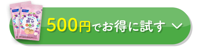 500円でお得に試す