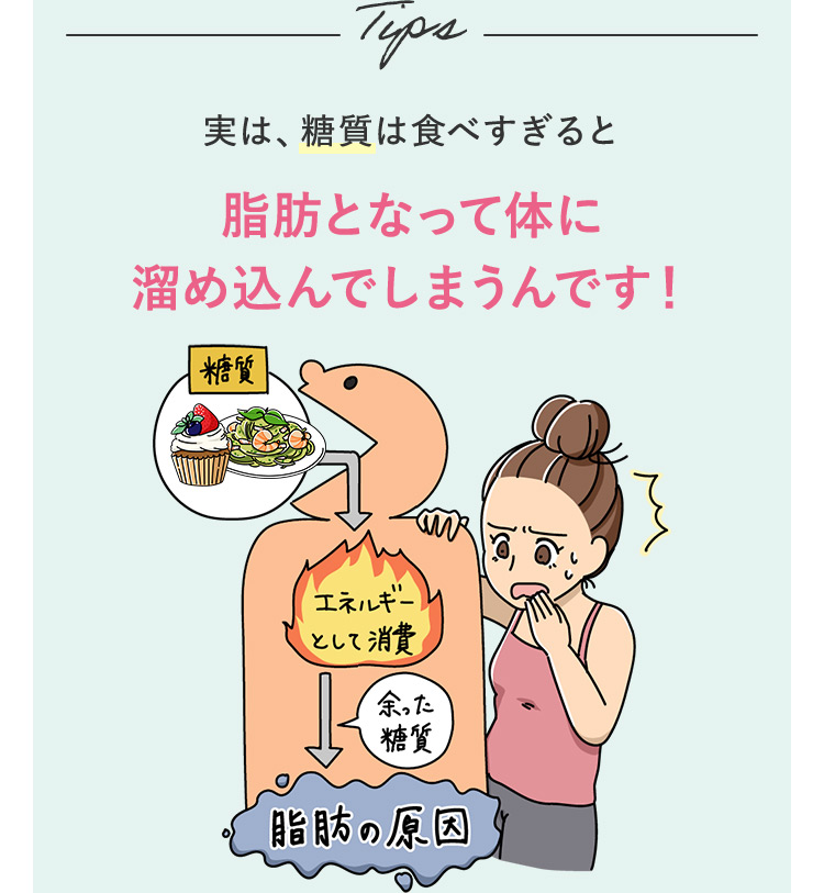 Tips 実は、糖質は食べすぎると脂肪となって体に溜め込んでしまうんです！