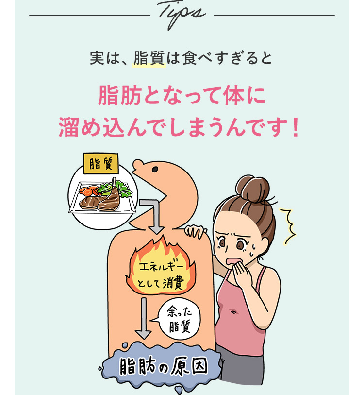 Tips 実は、脂質は食べすぎると脂肪となって体に溜め込んでしまうんです！