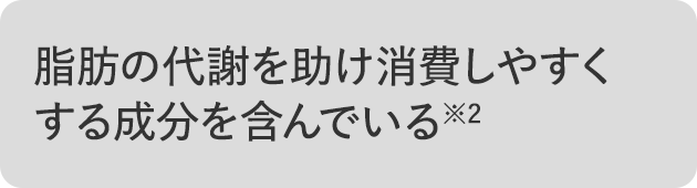 脂肪の代謝を助け消費しやすくする成分を含んでいる※2