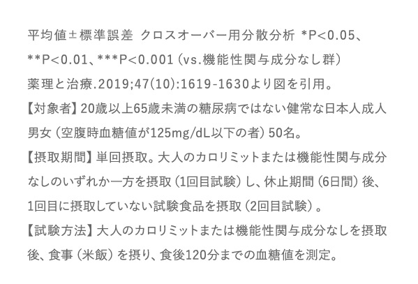 試験内容