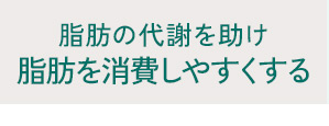脂肪を消費しやすくする