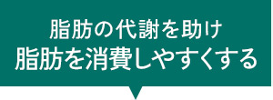 脂肪を消費しやすくする