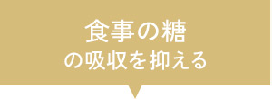 食事の糖の吸収を抑える