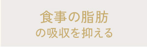 食事の脂肪の吸収を抑える