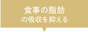食事の脂肪の吸収を抑える