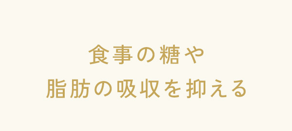 食事の糖や脂肪の吸収を抑える