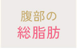 腹部の総脂肪