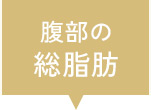 腹部の総脂肪