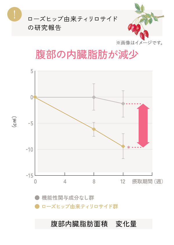 腹部の内臓脂肪が減少
