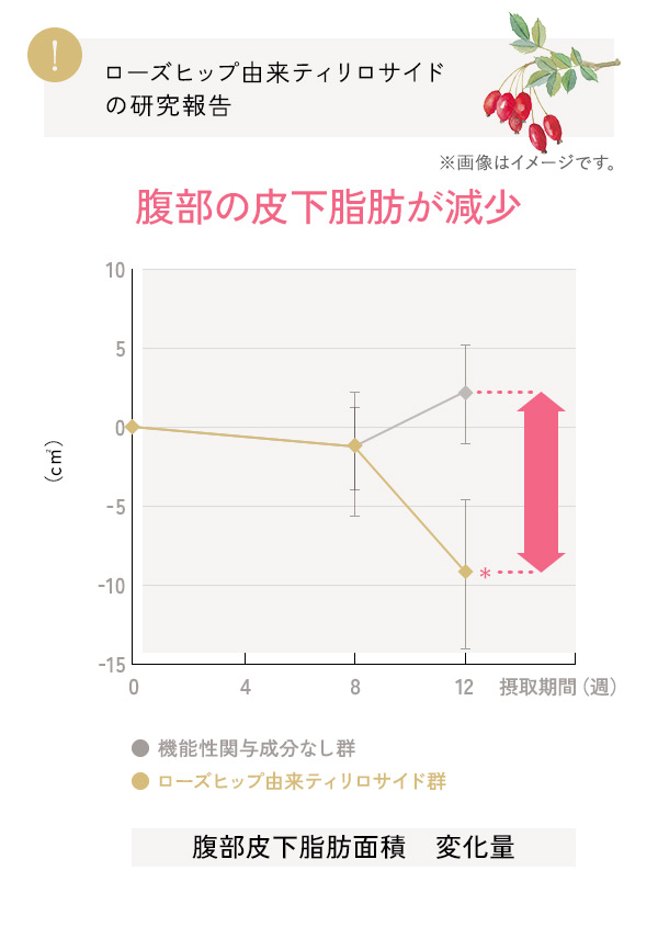 腹部の皮下脂肪が減少