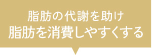 脂肪を消費しやすくする