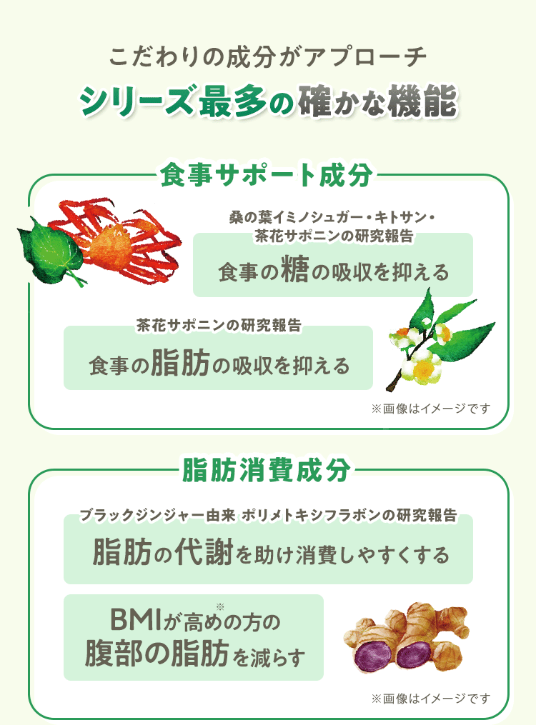 こだわりの成分がアプローチ シリーズ最多の確かな機能 [食事サポート成分] 桑の葉イミノシュガー・キトサン・茶花サポニンの研究報告：食事の糖の吸収を抑える 茶花サポニンの研究報告：食事の脂肪の吸収を抑える [脂肪消費成分] ブラックジンジャー由来 ポリメトキシフラボンの研究報告：脂肪の代謝を助け消費しやすくする BMIが高め※の方の腹部の脂肪を減らす