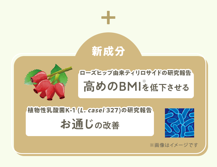 ＋[新成分] ローズヒップ由来ティリロサイドの研究報告：高めのBMI※を低下させる 植物性乳酸菌K-1 (L. casei 327)の研究報告：お通じの改善