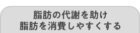 脂肪の代謝を助け脂肪を消費しやすくする