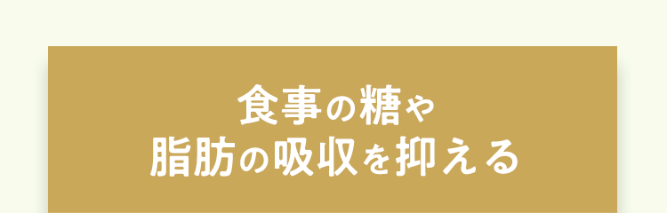 食事の糖や脂肪の吸収を抑える