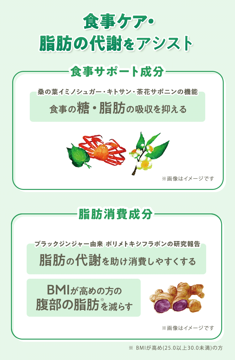 食事ケア・脂肪の代謝をアシスト [食事サポート成分] 桑の葉イミノシュガー・キトサン・茶花サポニンの機能：食事の糖・脂肪の吸収を抑える [脂肪消費成分] ブラックジンジャー由来 ポリメトキシフラボンの研究報告：脂肪の代謝を助け消費しやすくする BMIが高めの方の腹部の脂肪※を減らす ※ BMIが高め(25.0以上30.0未満)の方