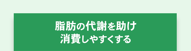 脂肪の代謝を助け消費しやすくする