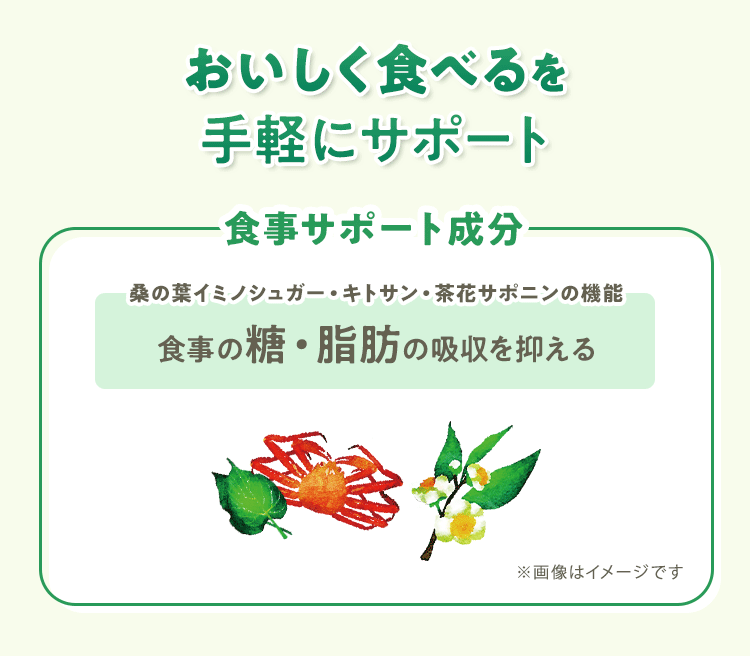 おいしく食べるを手軽にサポート [食事サポート成分] 桑の葉イミノシュガー・キトサン・茶花サポニンの機能：食事の糖・脂肪の吸収を抑える