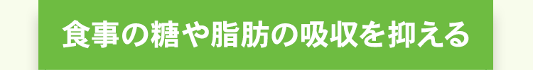 食事の糖や脂肪の吸収を抑える