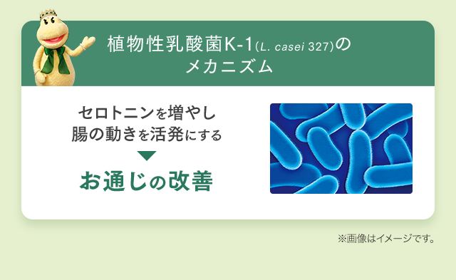 植物性乳酸菌K-1(L. casei 327)のメカニズム セロトニンを増やし腸の動きを活発にする → お通じの改善