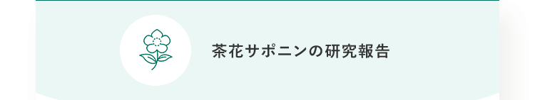   茶花サポニンの研究報告