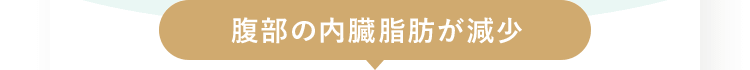 腹部の内臓脂肪が減少