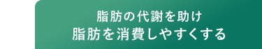 脂肪の代謝を助け脂肪を消費しやすくする