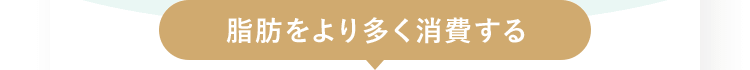 脂肪をより多く消費する