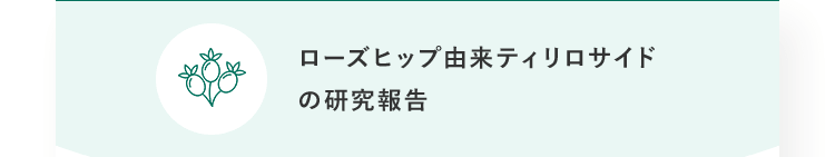 ローズヒップ由来ティリロサイドの研究報告
