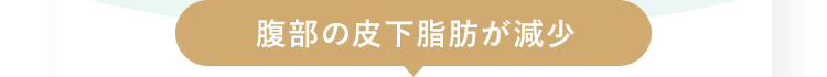 腹部の皮下脂肪が減少