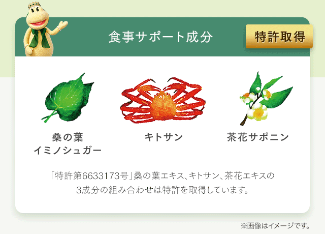 食事サポート成分