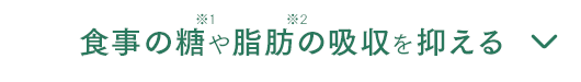 食事の糖や脂肪の吸収を抑える