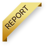 REPORT