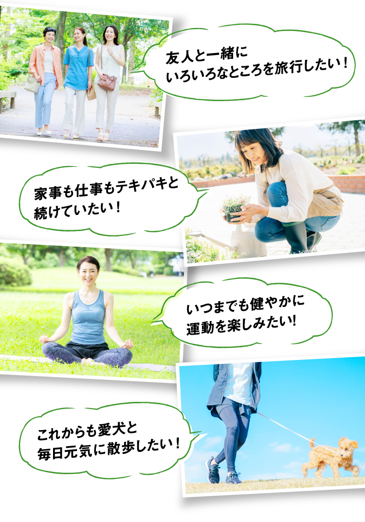 友人と一緒にいろいろなところを旅行したい！家事も仕事もテキパキと続けていたい！いつまでも健やかに運動を楽しみたい！これからも愛犬と毎日元気に散歩したい！