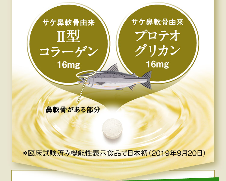 サケ鼻軟骨由来 Ⅱ型コラーゲン16mg サケ鼻軟骨由来 プロテオグリカン 16mg 鼻軟骨がある部分 ＊臨床試験済み機能性表示食品で日本初（2019年9月20日）