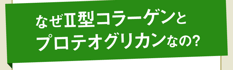 なぜⅡ型コラーゲンとプロテオグリカンなの？