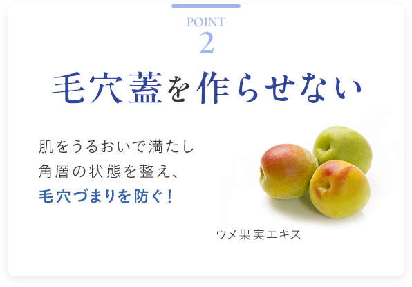 Point2 毛穴蓋を作らせない