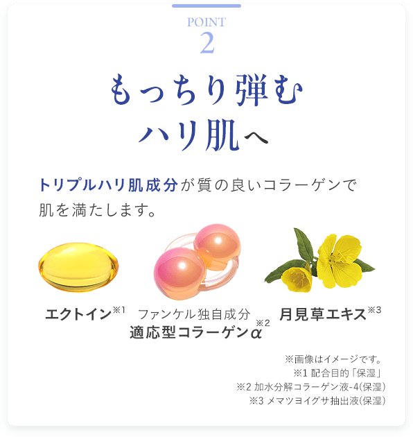 Point2 もっちり弾むハリ肌へ