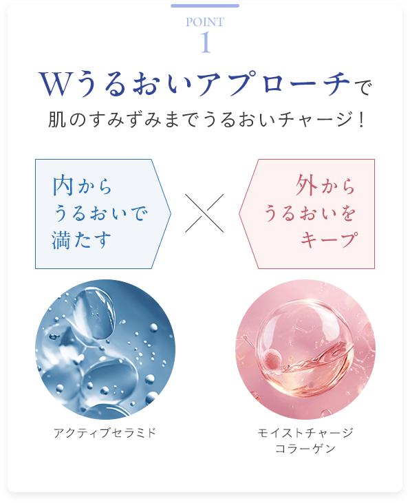 Point1 Wうるおいアプローチで肌のすみずみまでうるおいチャージ！