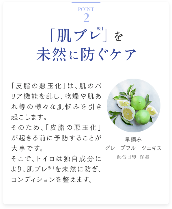 Point2 「肌ブレ※1」を　未然に防ぐケア