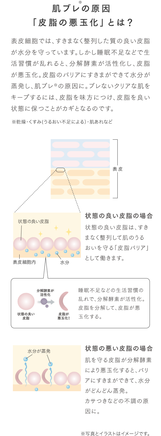 肌ブレの原因「ふきげん皮脂」とは？