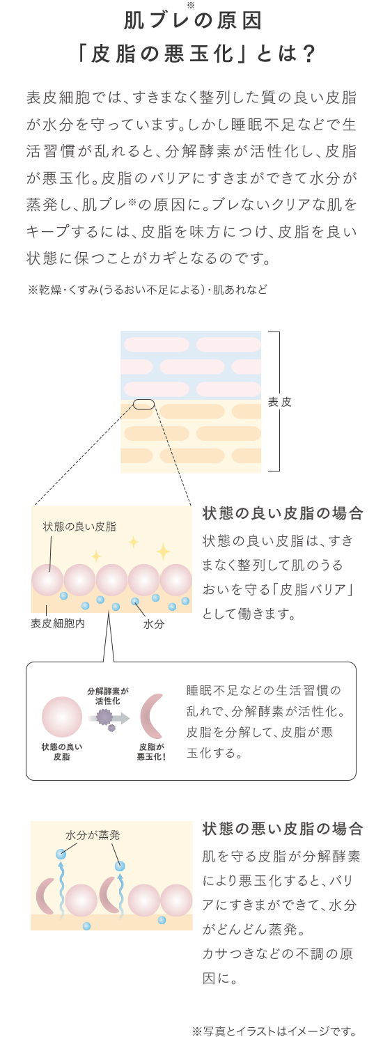 肌ブレの原因「皮脂の悪玉化」とは？