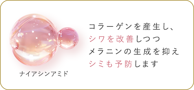 コラーゲンを産生し、シワを改善しつつメラニンの生成を抑えシミも予防します
