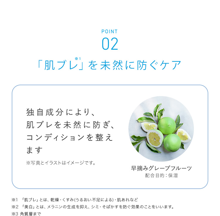 POINT02 「肌ブレ」を未然に防ぐケア 独自成分により、肌ブレを未然に防ぎ、コンディションを整えます