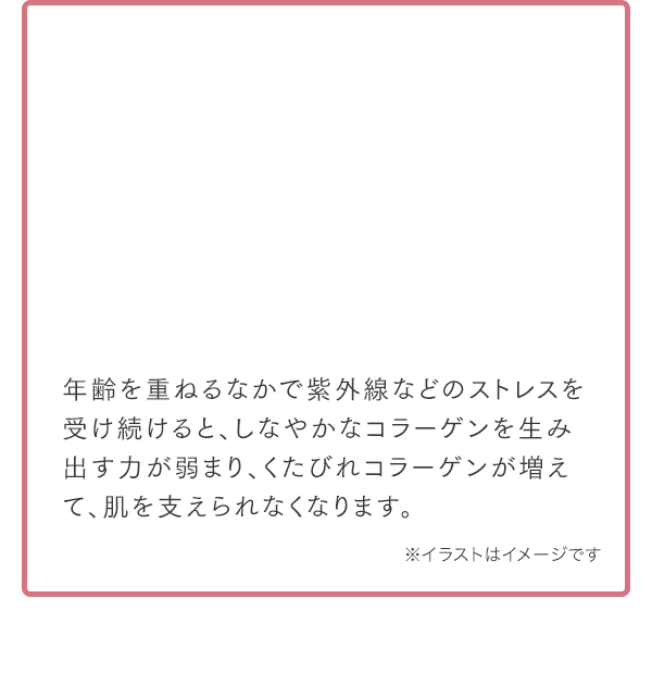 年齢を重ねるなかで紫外線などのストレスを受け続けると、しなやかなコラーゲンを生み出す力が弱まり、くたびれコラーゲンが増えて、肌を支えられなくなります。