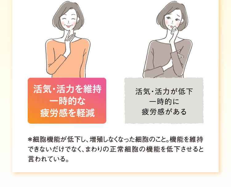 活気・活力を維持一時的な疲労感を軽減 活気・活力が低下一時的に疲労感がある ＊細胞機能が低下し、増殖しなくなった細胞のこと。機能を維持できないだけでなく、まわりの正常細胞の機能を低下させると言われている。