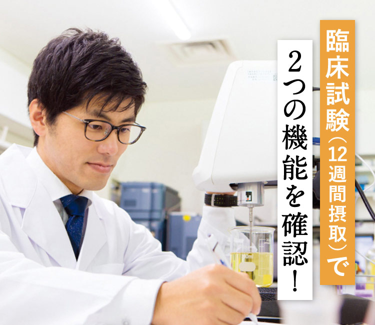 臨床試験（12週間摂取）で2つの機能を確認！
