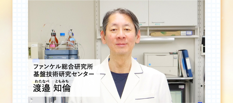ファンケル総合研究所 基盤技術研究センター 渡邉 知倫